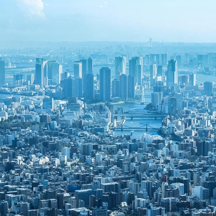 Sofia Costa - Expat family life guide in Portugal